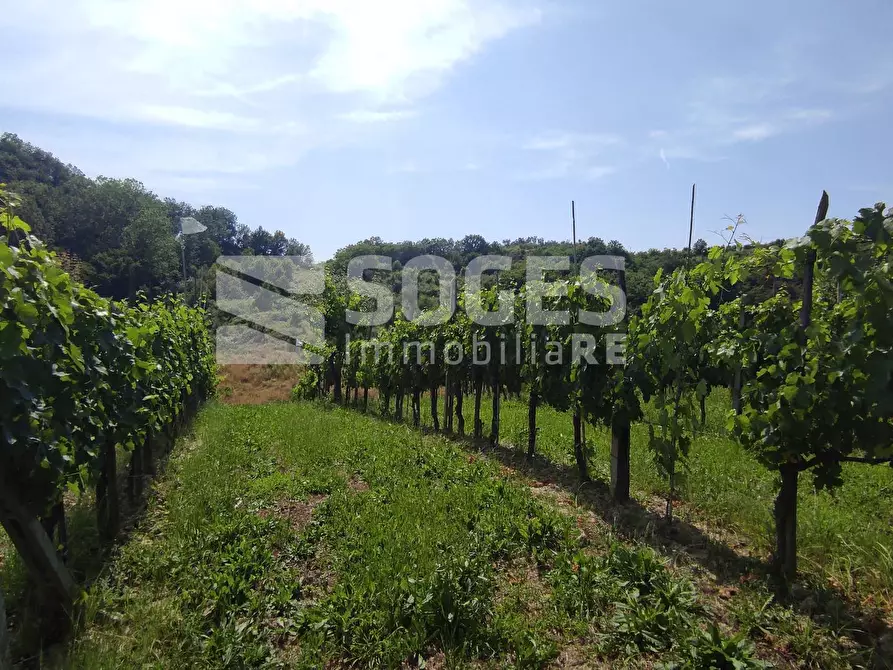 Immagine 19 di Casa indipendente in vendita  in via botriolo a Castelfranco Piandiscò