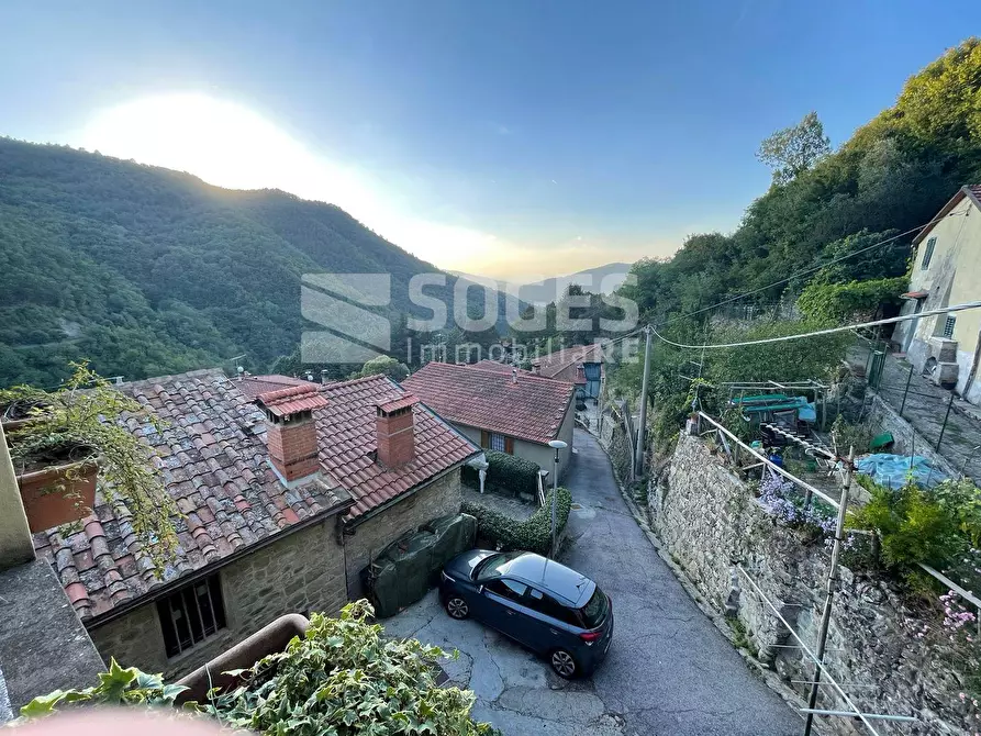 Immagine 17 di Rustico / casale in vendita  in Località Fornace a Londa