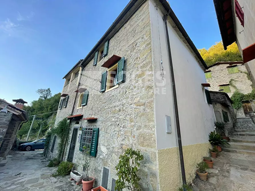 Immagine 28 di Rustico / casale in vendita  in Località Fornace a Londa