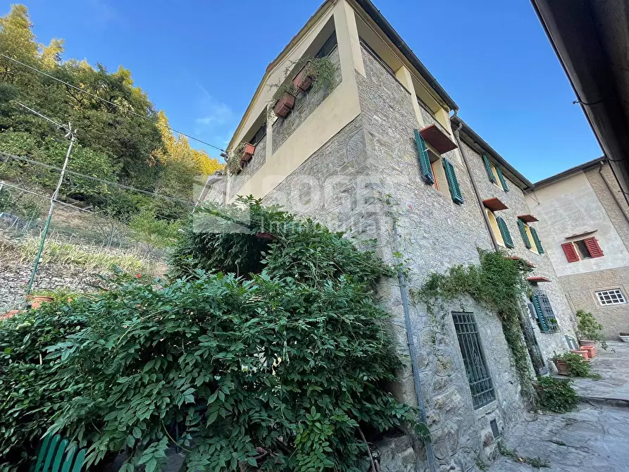 Immagine 27 di Rustico / casale in vendita  in Località Fornace a Londa