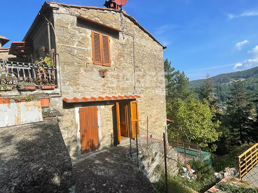 Immagine 22 di Rustico / casale in vendita  in Località Castelnuovo a Rufina