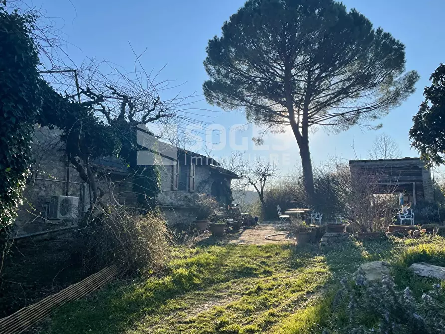 Immagine 25 di Rustico / casale in vendita  in Case Sparse a Pelago