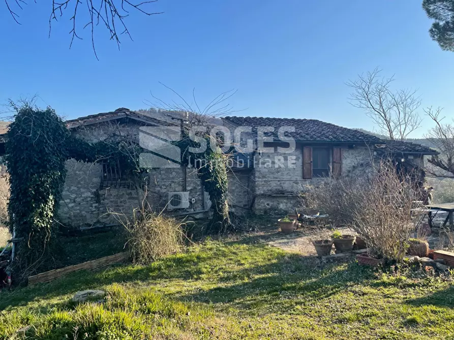 Immagine 26 di Rustico / casale in vendita  in Case Sparse a Pelago