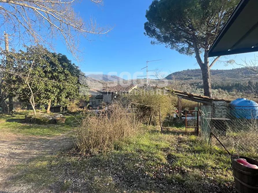 Immagine 27 di Rustico / casale in vendita  in Case Sparse a Pelago