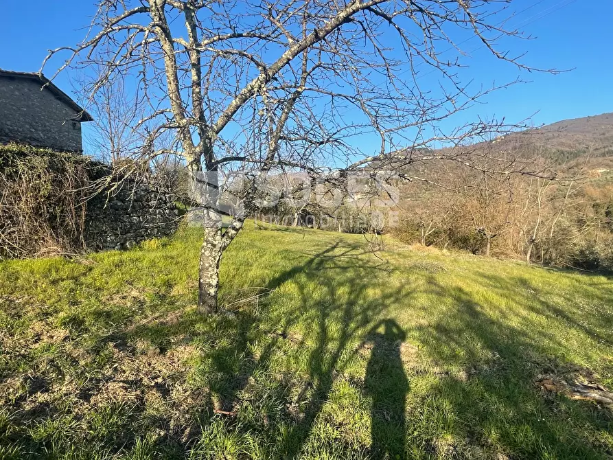 Immagine 29 di Rustico / casale in vendita  in Case Sparse a Pelago