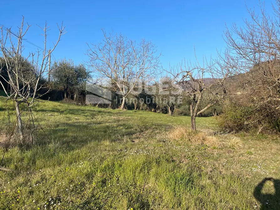 Immagine 30 di Rustico / casale in vendita  in Case Sparse a Pelago