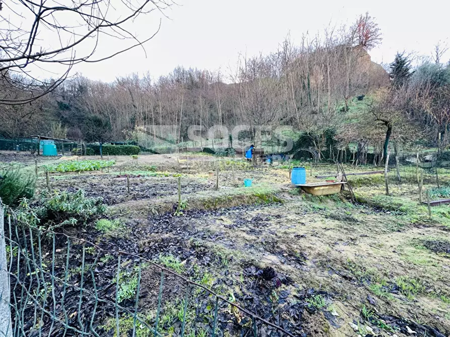Immagine 2 di Terreno agricolo in vendita  in Loc. Istieto a Figline E Incisa Valdarno