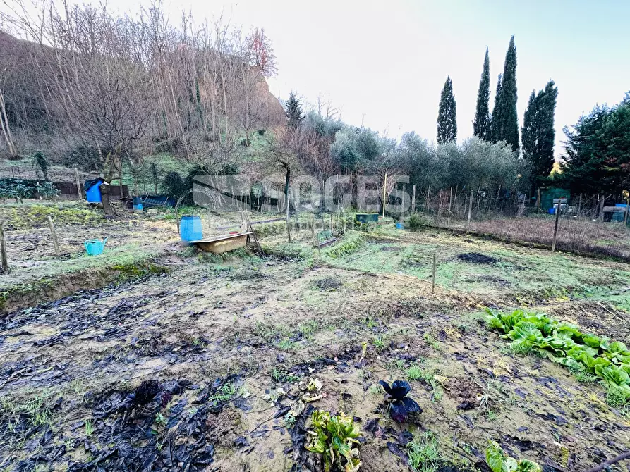 Immagine 3 di Terreno agricolo in vendita  in Loc. Istieto a Figline E Incisa Valdarno