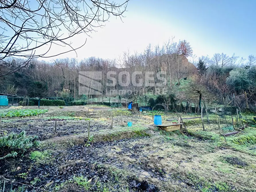 Immagine 4 di Terreno agricolo in vendita  in Loc. Istieto a Figline E Incisa Valdarno