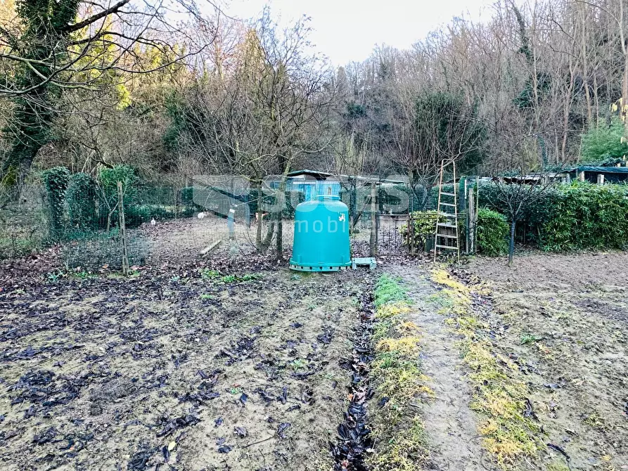 Immagine 5 di Terreno agricolo in vendita  in Loc. Istieto a Figline E Incisa Valdarno