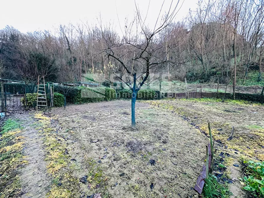 Immagine 6 di Terreno agricolo in vendita  in Loc. Istieto a Figline E Incisa Valdarno