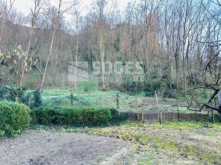 Immagine 7 di Terreno agricolo in vendita  in Loc. Istieto a Figline E Incisa Valdarno