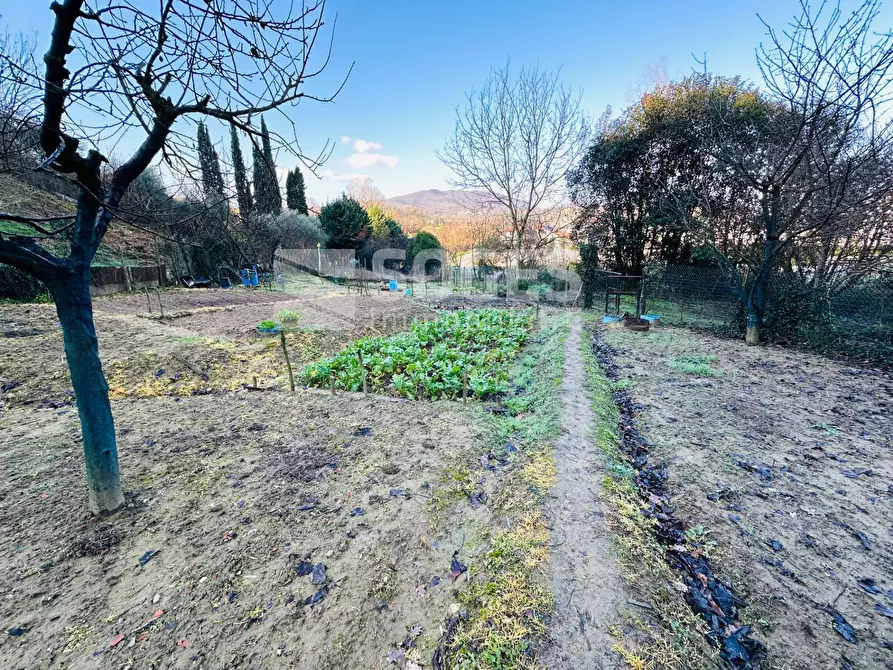 Immagine 8 di Terreno agricolo in vendita  in Loc. Istieto a Figline E Incisa Valdarno