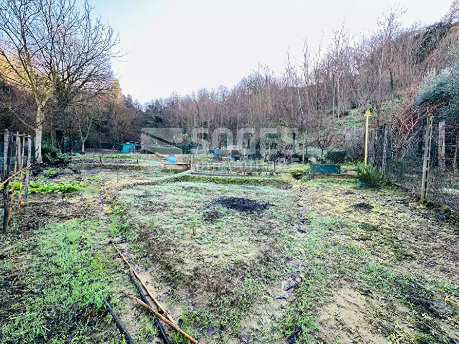Immagine 9 di Terreno agricolo in vendita  in Loc. Istieto a Figline E Incisa Valdarno