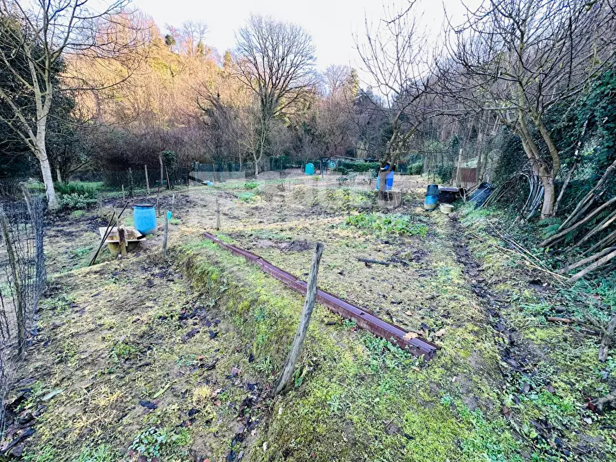 Immagine 10 di Terreno agricolo in vendita  in Loc. Istieto a Figline E Incisa Valdarno