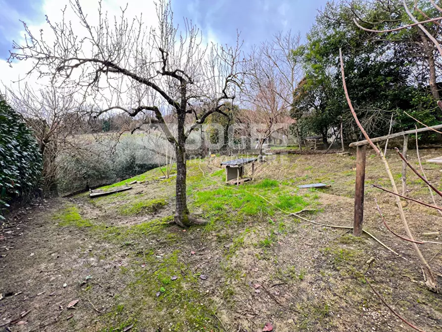 Immagine 29 di Appartamento in vendita  in Via Montecarlo a San Giovanni Valdarno