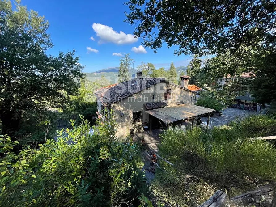 Immagine 5 di Rustico / casale in vendita  in località Scopeti a Rufina
