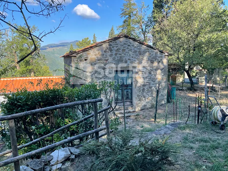 Immagine 6 di Rustico / casale in vendita  in località Scopeti a Rufina