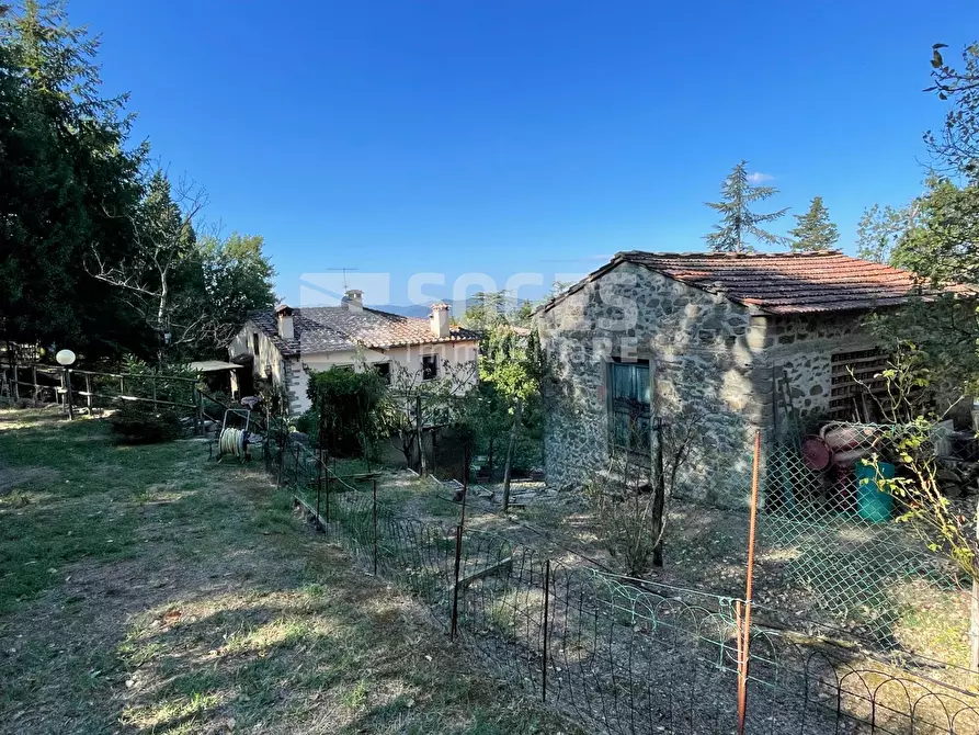 Immagine 7 di Rustico / casale in vendita  in località Scopeti a Rufina