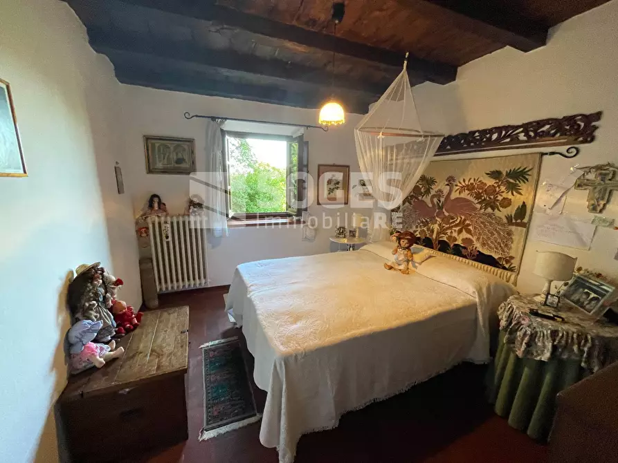 Immagine 16 di Rustico / casale in vendita  in località Scopeti a Rufina