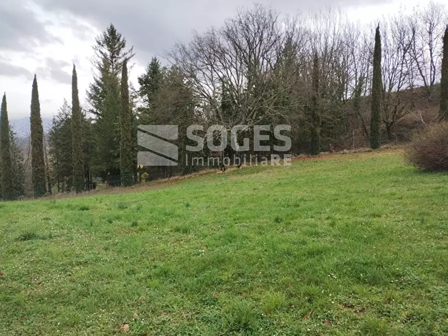 Immagine 5 di Villa in vendita  in Frazione Celle a Dicomano