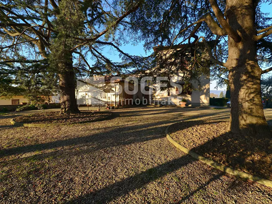 Immagine 21 di Villa in vendita  in Via di Lucente a Pelago