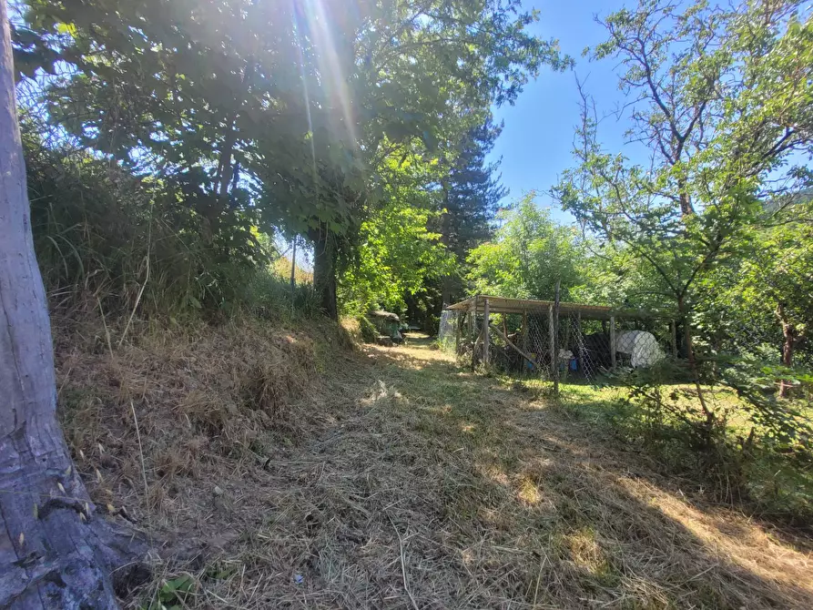 Immagine 17 di Appartamento in vendita  in Via Londa a Pratovecchio Stia