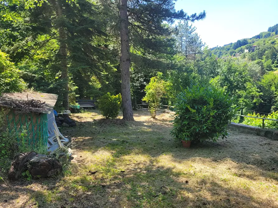 Immagine 19 di Appartamento in vendita  in Via Londa a Pratovecchio Stia