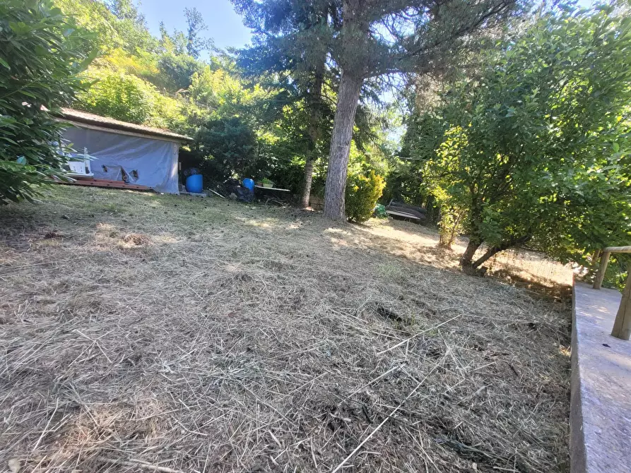 Immagine 21 di Appartamento in vendita  in Via Londa a Pratovecchio Stia