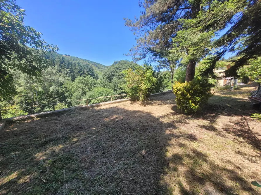 Immagine 22 di Appartamento in vendita  in Via Londa a Pratovecchio Stia