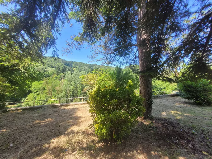 Immagine 23 di Appartamento in vendita  in Via Londa a Pratovecchio Stia