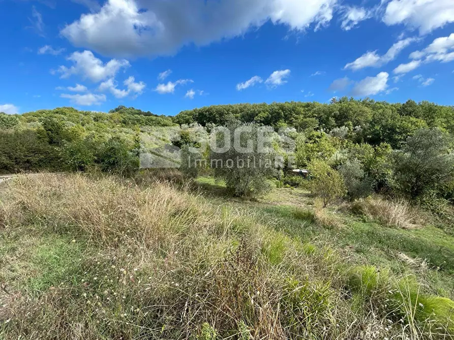Immagine 16 di Camera in vendita  in via di santa brigida a Pontassieve