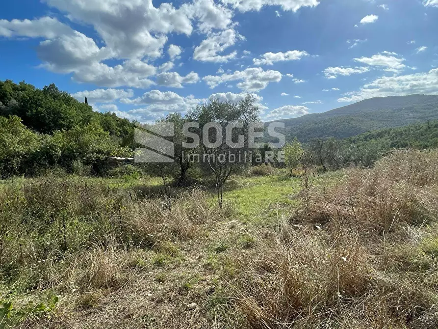 Immagine 18 di Camera in vendita  in via di santa brigida a Pontassieve