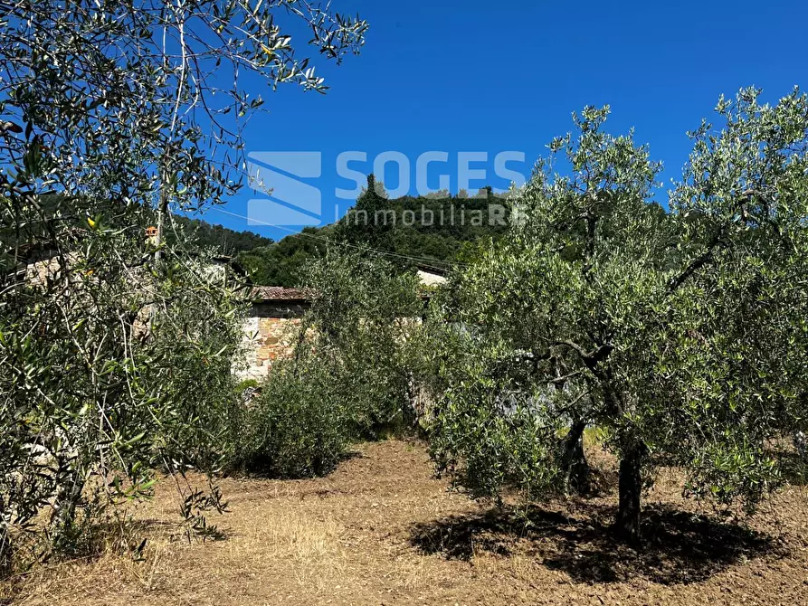 Immagine 17 di Rustico / casale in vendita  in ferrale del bondi a Cavriglia