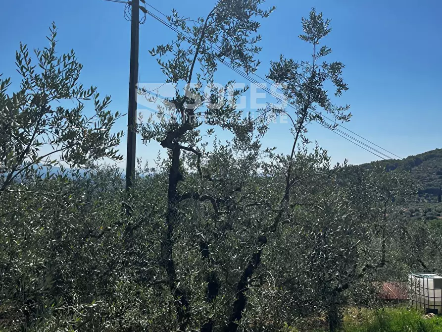 Immagine 22 di Rustico / casale in vendita  in ferrale del bondi a Cavriglia