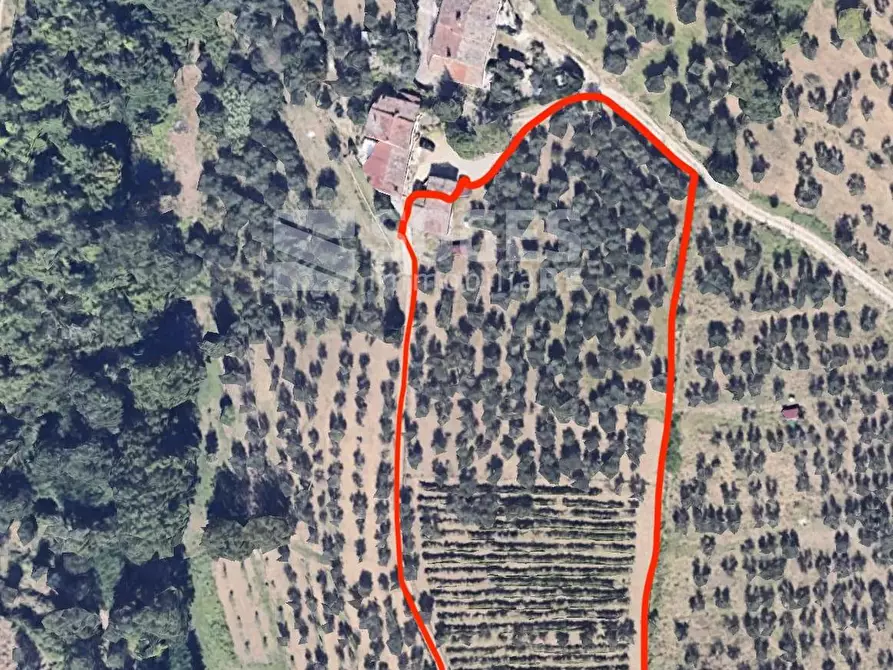 Immagine 26 di Rustico / casale in vendita  in ferrale del bondi a Cavriglia