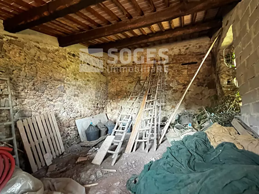 Immagine 8 di Terreno agricolo in vendita  in località ferrale del bondi a Cavriglia