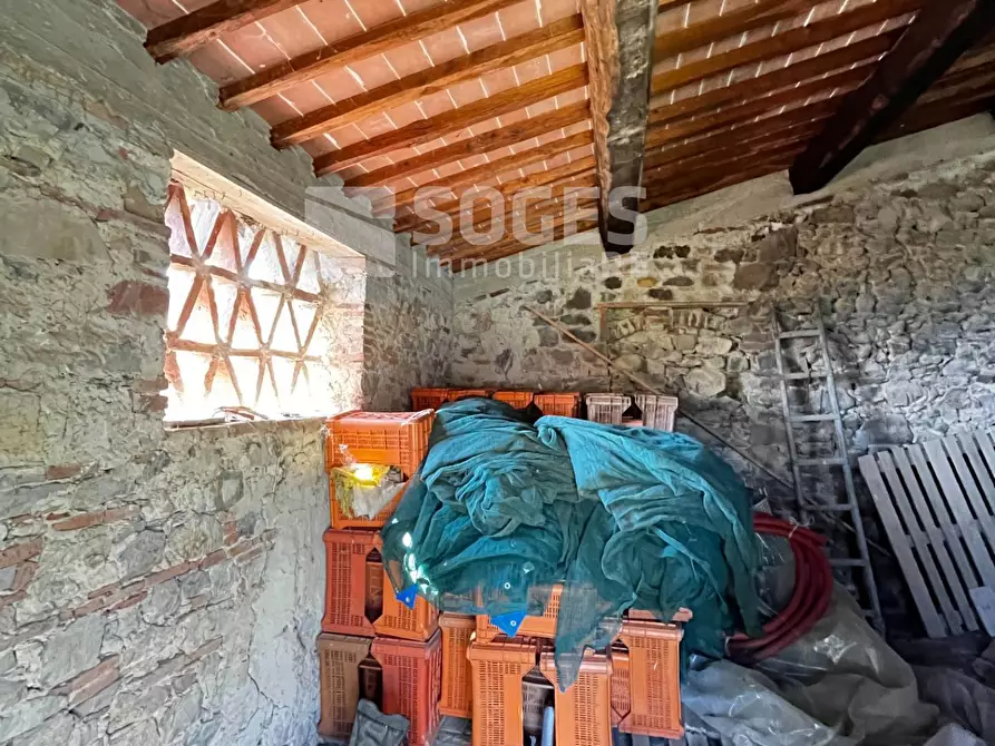 Immagine 9 di Terreno agricolo in vendita  in località ferrale del bondi a Cavriglia