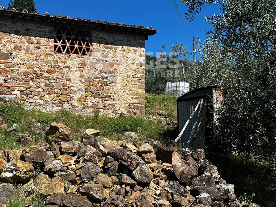Immagine 2 di Terreno agricolo in vendita  in località ferrale del bondi a Cavriglia