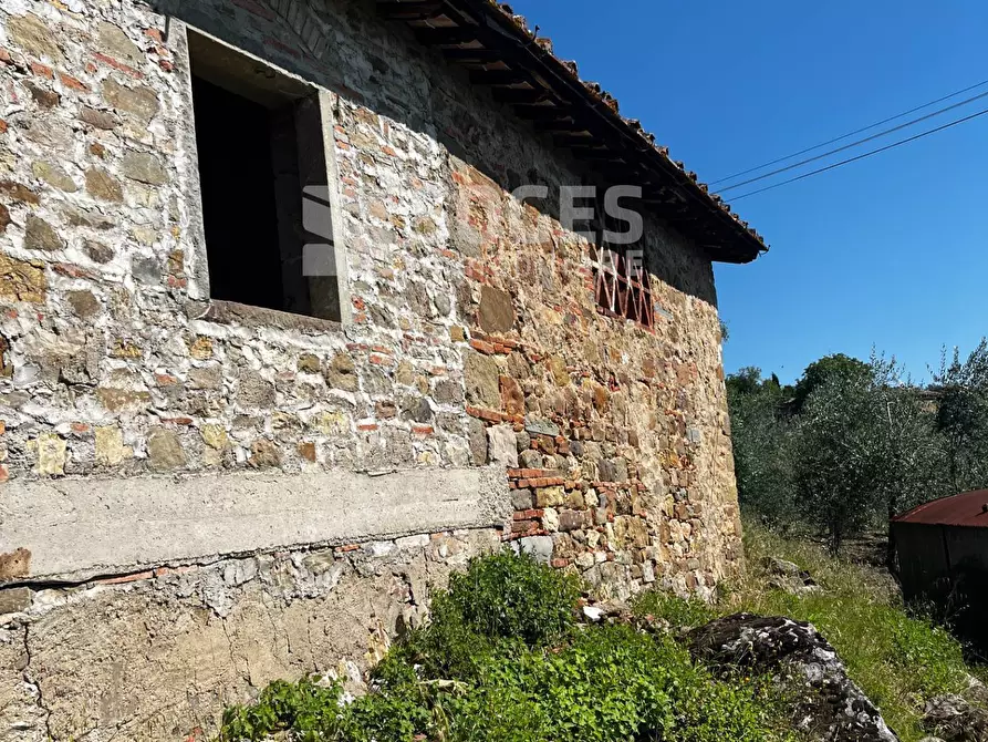Immagine 21 di Terreno agricolo in vendita  in località ferrale del bondi a Cavriglia