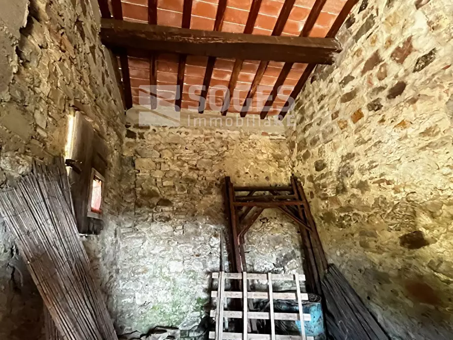 Immagine 11 di Terreno agricolo in vendita  in località ferrale del bondi a Cavriglia