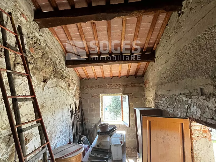 Immagine 15 di Terreno agricolo in vendita  in località ferrale del bondi a Cavriglia