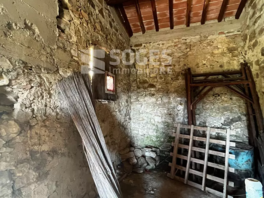 Immagine 17 di Terreno agricolo in vendita  in località ferrale del bondi a Cavriglia