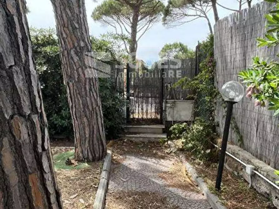 Immagine 3 di Villetta a schiera in vendita  in Strada Provinciale 36 della Giannella a Orbetello