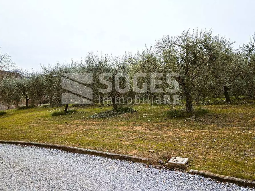 Immagine 14 di Casa indipendente in vendita  in Via Fonte Badia a Marciano Della Chiana