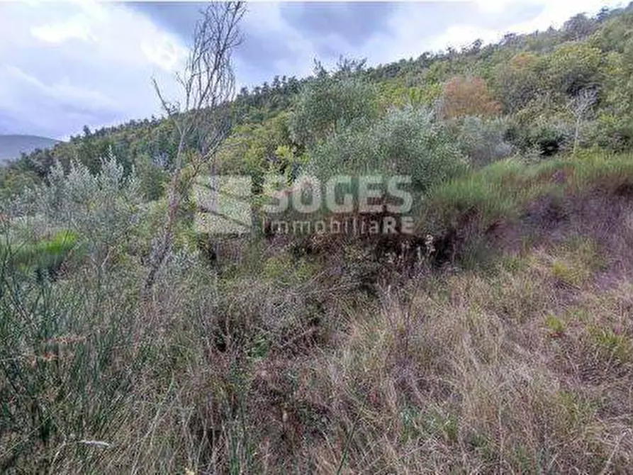 Immagine 10 di Palazzo in vendita  in Località Val di Vico a Cortona