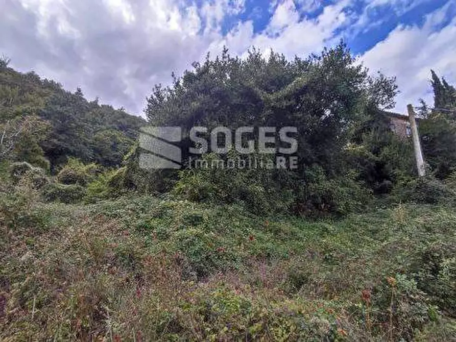 Immagine 12 di Palazzo in vendita  in Località Val di Vico a Cortona