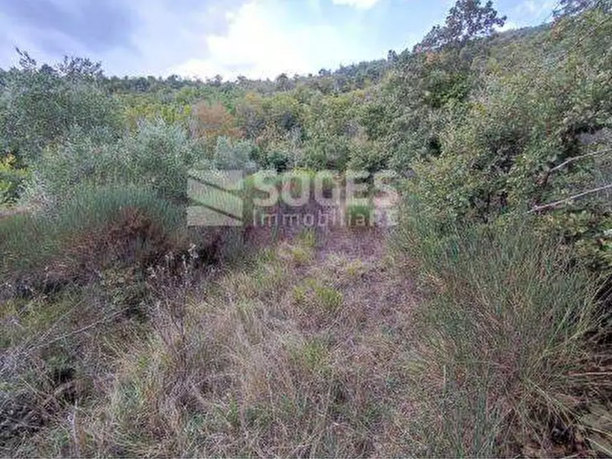 Immagine 21 di Palazzo in vendita  in Località Val di Vico a Cortona