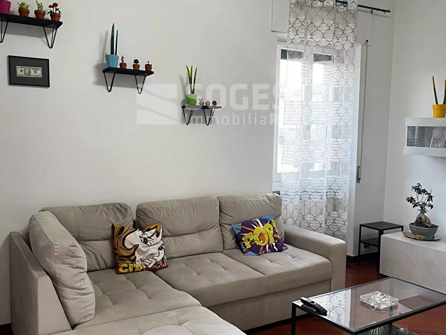 Immagine 5 di Appartamento in vendita  in via cicogna a Terranuova Bracciolini