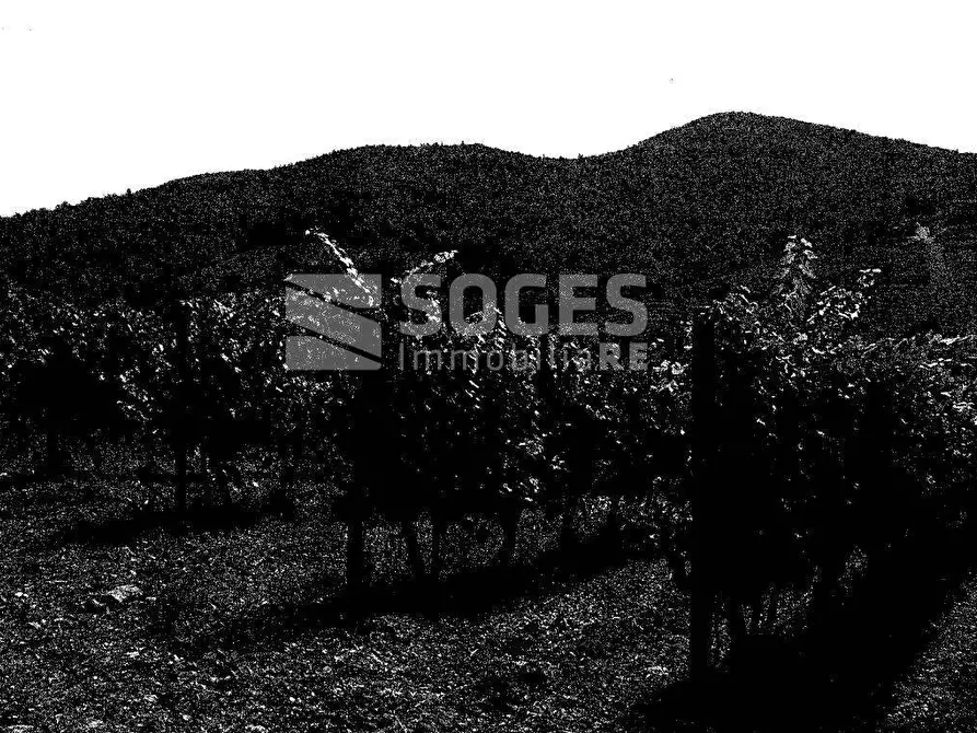 Immagine 22 di Casa indipendente in vendita  in Via Berenson a Reggello